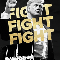 TRUMP icon